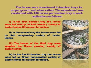i) In the first bamboo tray the larvae
were fed strictly on Red powdery variety of
castor leaves till cocoon formation.
ii) In the second tray the larvae were fed
on Red non-powdery variety of castor
leaves.
iii) The larvae of the third tray were
supplied the Green powdery variety of
castor leaves.
iv) In the fourth bamboo tray the larvae
were fed on Green non-powdery variety of
castor leaves till cocoon formation.
The larvae were transferred to bamboo trays for
proper growth and observation. The experiment was
conducted with 100 larvae per bamboo tray in each
replication as follows:
 
