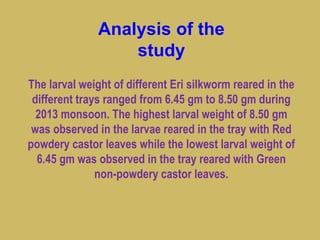 Analysis of the
study
The larval weight of different Eri silkworm reared in the
different trays ranged from 6.45 gm to 8.50 gm during
2013 monsoon. The highest larval weight of 8.50 gm
was observed in the larvae reared in the tray with Red
powdery castor leaves while the lowest larval weight of
6.45 gm was observed in the tray reared with Green
non-powdery castor leaves.
 