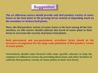 Suggestion
The eri silkworm rearers should provide only Red powdery variety of castor
leaves as the food plant to the growing larvae instead of depending much on
the secondary or tertiary food plants.
Since, the Red powdery variety of castor leaves is the best among all the four
varieties, eri silk rearers should cultivate this breed of castor plant in their
farms to overcome the scarcity of primary food plants.
Both government and non-government sericulture farms should do the
necessary arrangement for the large scale plantation of Red powdery variety
of castor plants.
Government should come forward with some specific schemes to help the
common eri silkworm rearers by providing them loans and other facilities to
cultivate Red powdery variety of castor plants in their own farms
 