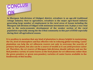 In Bhergaon Sub-division of Udalguri district, ericulture is an age-old traditional
cottage industry. Next to agriculture, ericulture is the major agro-based industry
generating large number of employment in the rural areas of Assam including the
Bhergaon sub-division of Udlguri with minimum investment cost. It plays a very vital
role in the socio-economic development of the weaker section of the rural
population especially among the the tribal community in this part of BTAD especially
during their off-agricultural season.
It is needless to mention that any kind of plantation is always helpful in maintaining
the CO2 level of atmosphere and has effective role in reducing global warming. Castor
plantation can help the eri silkworm rearers not only to overcome the scarcity of
primary host plants, but also can be a source of wealth as it can yield precious castor
oil. Therefore, the eri rearers of Bhergaon Sub-division should cultivate and use the
Red powdery variety of castor leaves as the food plants for eri silkworms rather than
the green powdery or green non-powdery varieties of castor leaves available in the
biodiversity of this locality.
 