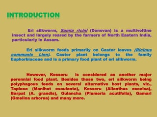 INTRODUCTION
Eri silkworm, Samia ricini (Donovan) is a multivoltine
insect and largely reared by the farmers of North Eastern India,
particularly in Assam.
However, Kesseru is considered as another major
perennial food plant. Besides these two, eri silkworm being
polyphagous feeds on several alternative host plants, viz.,
Tapioca (Manihot esculanta), Kesseru (Ailanthus excelsa),
Barpat (A. grandis), Gulancha (Plumeria acutifolia), Gamari
(Gmelina arborea) and many more.
Eri silkworm feeds primarily on Castor leaves (Ricinus
communis Linn). Castor plant belongs to the family
Euphorbiaceae and is a primary food plant of eri silkworm.
 