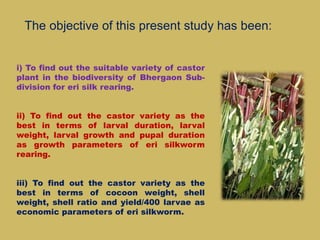 i) To find out the suitable variety of castor
plant in the biodiversity of Bhergaon Sub-
division for eri silk rearing.
ii) To find out the castor variety as the
best in terms of larval duration, larval
weight, larval growth and pupal duration
as growth parameters of eri silkworm
rearing.
iii) To find out the castor variety as the
best in terms of cocoon weight, shell
weight, shell ratio and yield/400 larvae as
economic parameters of eri silkworm.
The objective of this present study has been:
 