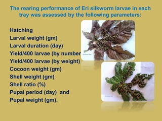 The rearing performance of Eri silkworm larvae in each
tray was assessed by the following parameters:
Hatching
Larval weight (gm)
Larval duration (day)
Yield/400 larvae (by number)
Yield/400 larvae (by weight)
Cocoon weight (gm)
Shell weight (gm)
Shell ratio (%)
Pupal period (day) and
Pupal weight (gm).
 
