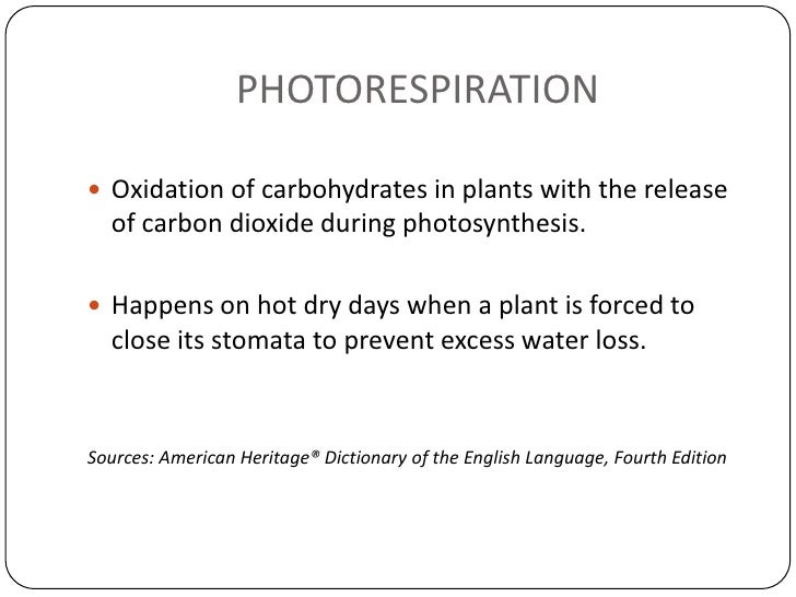 Growth and maintenance in respiration