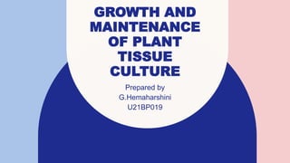 GROWTH AND
MAINTENANCE
OF PLANT
TISSUE
CULTURE
Prepared by
G.Hemaharshini
U21BP019​
 