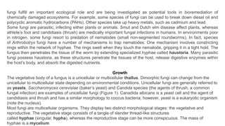 Growth and nutrition of fungi msc plant Pathology.pptx