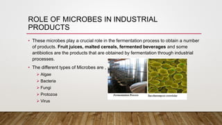 Microorganisms In Industry GROWTH AND PRODUCT FORMATION IN INDUSTRIAL PROCESS.pptx