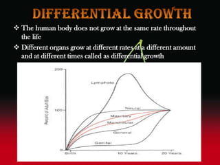  The human body does not grow at the same rate throughout
the life
 Different organs grow at different rates at a different amount
and at different times called as differential growth
 