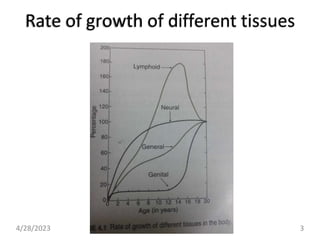 Rate of growth of different tissues
4/28/2023 3
 