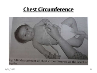 Chest Circumference
4/28/2023 44
 
