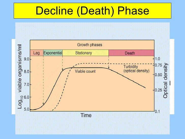 Наработка биомассы шиванелла. Growth phase. Growth curve phases. Lag фаза. Lag фаза.