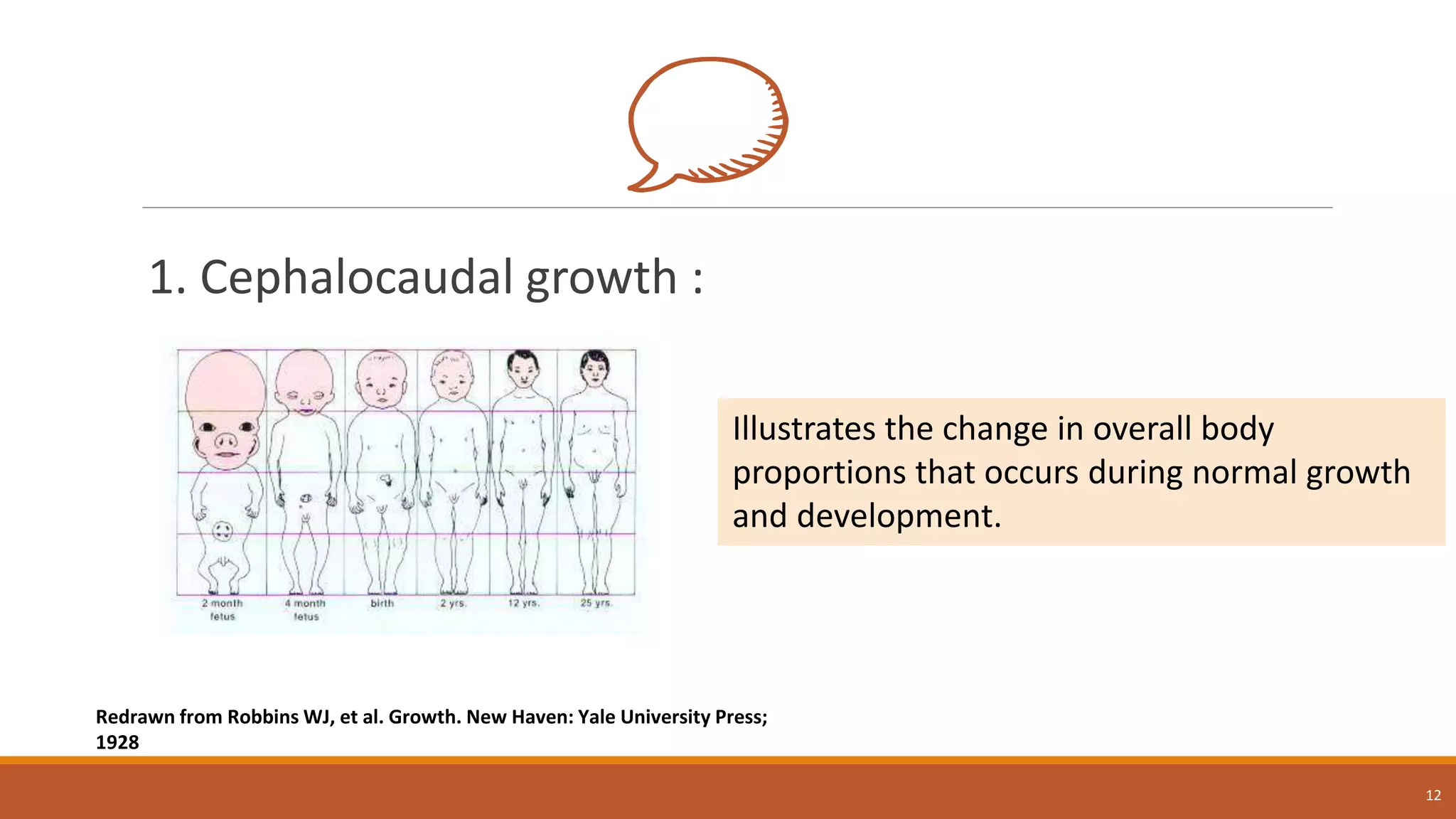 1. Cephalocaudal growth :
12
Redrawn from Robbins WJ, et al. Growth. New Haven: Yale University Press;
1928
Illustrates the change in overall body
proportions that occurs during normal growth
and development.
 
