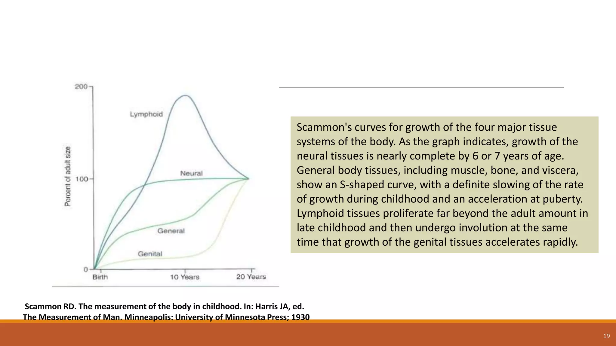 19
Scammon RD. The measurement of the body in childhood. In: Harris JA, ed.
The Measurement of Man. Minneapolis: University of Minnesota Press; 1930
Scammon's curves for growth of the four major tissue
systems of the body. As the graph indicates, growth of the
neural tissues is nearly complete by 6 or 7 years of age.
General body tissues, including muscle, bone, and viscera,
show an S-shaped curve, with a definite slowing of the rate
of growth during childhood and an acceleration at puberty.
Lymphoid tissues proliferate far beyond the adult amount in
late childhood and then undergo involution at the same
time that growth of the genital tissues accelerates rapidly.
 