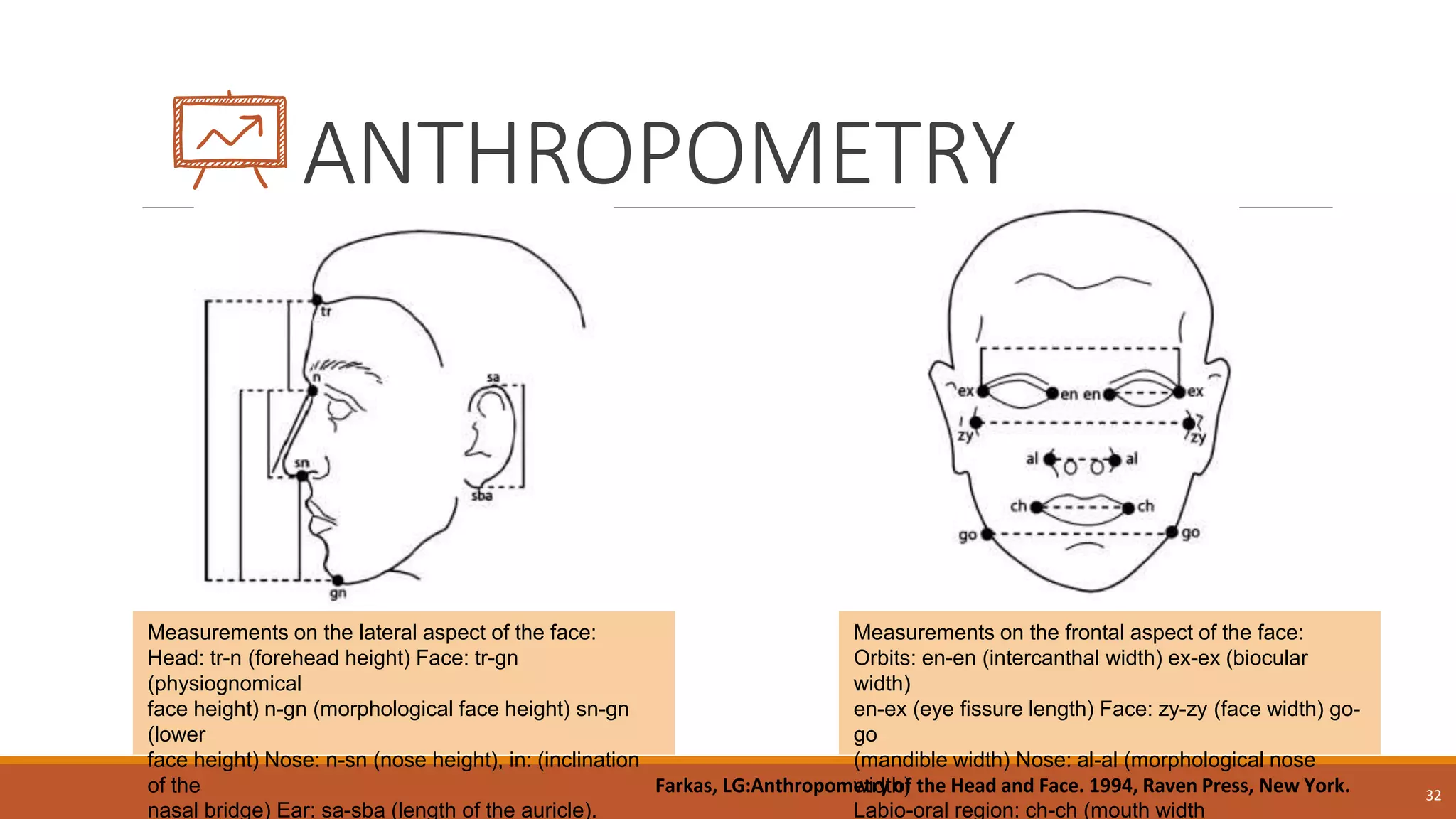 ANTHROPOMETRY
32
Measurements on the lateral aspect of the face:
Head: tr-n (forehead height) Face: tr-gn
(physiognomical
face height) n-gn (morphological face height) sn-gn
(lower
face height) Nose: n-sn (nose height), in: (inclination
of the
nasal bridge) Ear: sa-sba (length of the auricle).
Measurements on the frontal aspect of the face:
Orbits: en-en (intercanthal width) ex-ex (biocular
width)
en-ex (eye fissure length) Face: zy-zy (face width) go-
go
(mandible width) Nose: al-al (morphological nose
width)
Labio-oral region: ch-ch (mouth width
Farkas, LG:Anthropometry of the Head and Face. 1994, Raven Press, New York.
 