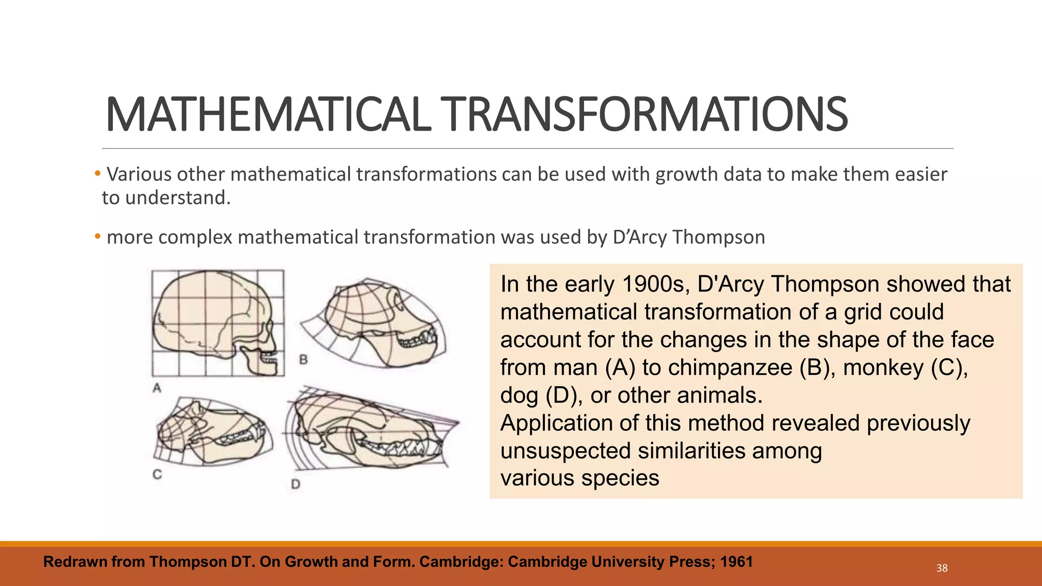 MATHEMATICAL TRANSFORMATIONS
• Various other mathematical transformations can be used with growth data to make them easier
to understand.
• more complex mathematical transformation was used by D’Arcy Thompson
38
In the early 1900s, D'Arcy Thompson showed that
mathematical transformation of a grid could
account for the changes in the shape of the face
from man (A) to chimpanzee (B), monkey (C),
dog (D), or other animals.
Application of this method revealed previously
unsuspected similarities among
various species
Redrawn from Thompson DT. On Growth and Form. Cambridge: Cambridge University Press; 1961
 