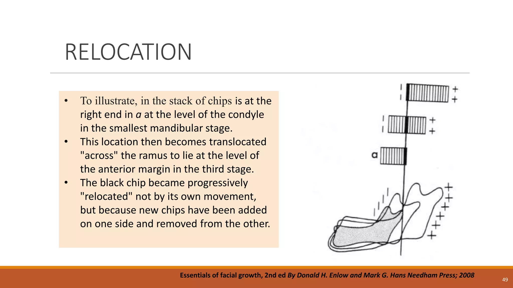 RELOCATION
49
• To illustrate, in the stack of chips is at the
right end in a at the level of the condyle
in the smallest mandibular stage.
• This location then becomes translocated
"across" the ramus to lie at the level of
the anterior margin in the third stage.
• The black chip became progressively
"relocated" not by its own movement,
but because new chips have been added
on one side and removed from the other.
Essentials of facial growth, 2nd ed By Donald H. Enlow and Mark G. Hans Needham Press; 2008
 