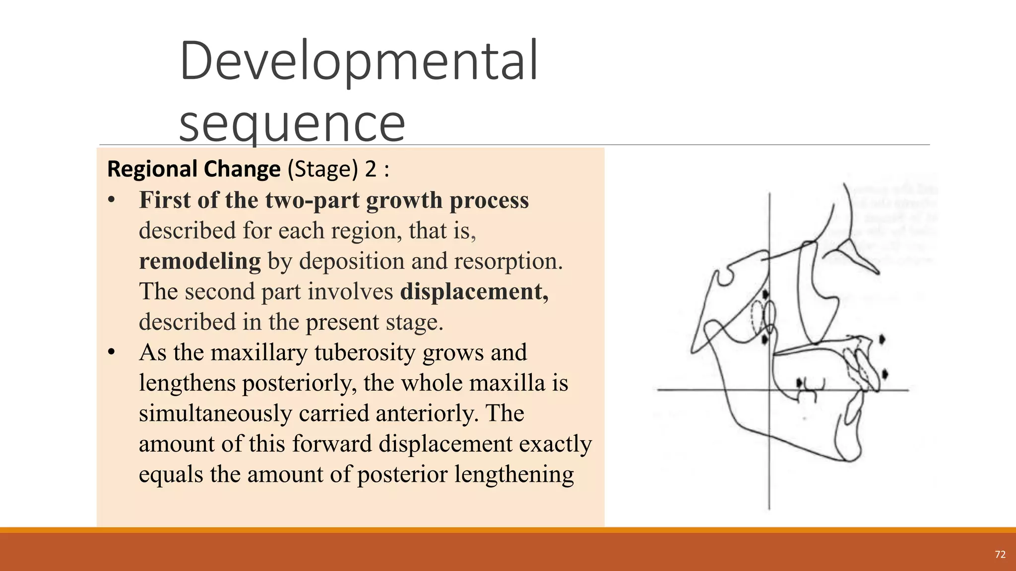 Developmental
sequence
72
Regional Change (Stage) 2 :
• First of the two-part growth process
described for each region, that is,
remodeling by deposition and resorption.
The second part involves displacement,
described in the present stage.
• As the maxillary tuberosity grows and
lengthens posteriorly, the whole maxilla is
simultaneously carried anteriorly. The
amount of this forward displacement exactly
equals the amount of posterior lengthening
 