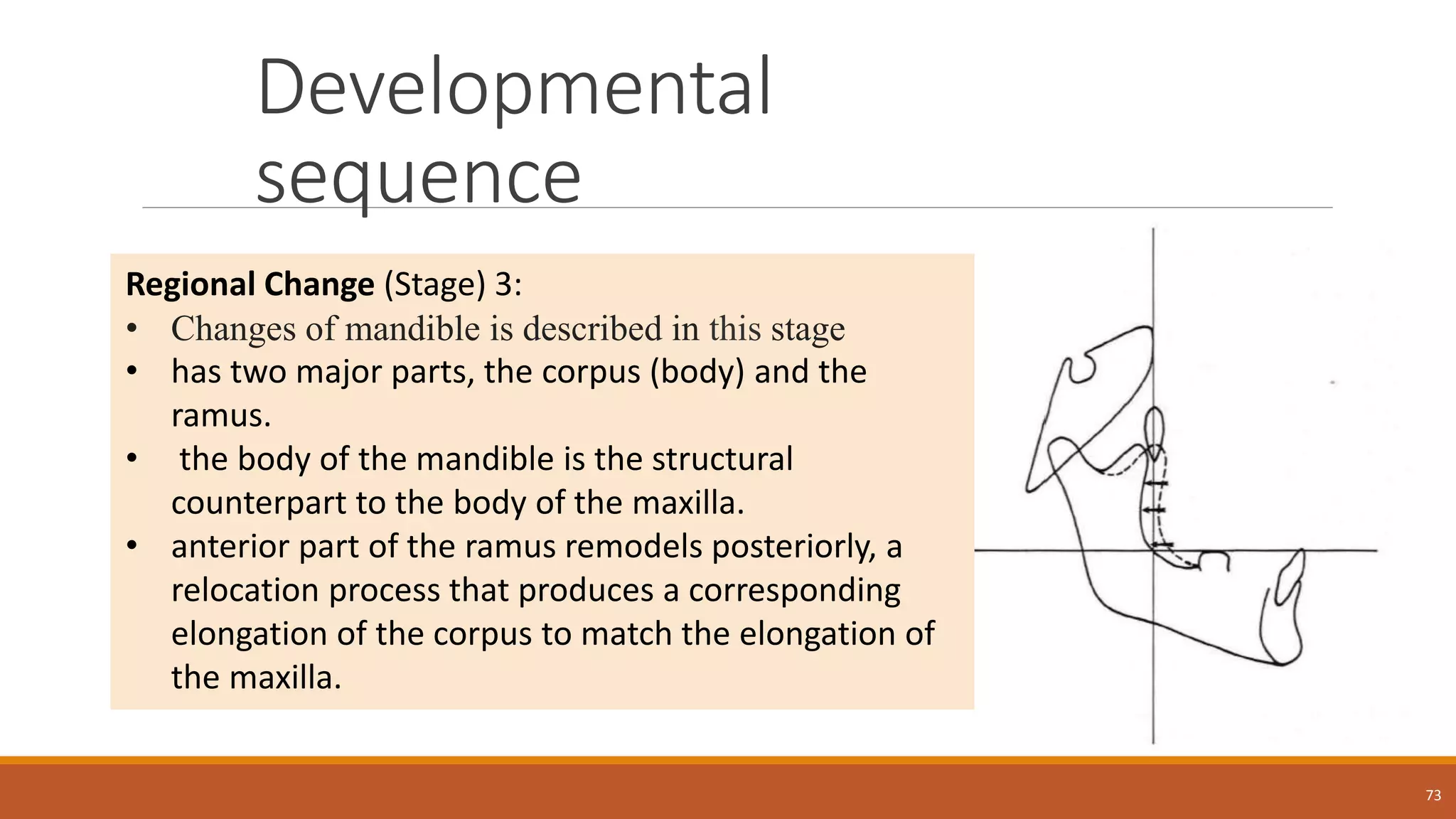Developmental
sequence
73
Regional Change (Stage) 3:
• Changes of mandible is described in this stage
• has two major parts, the corpus (body) and the
ramus.
• the body of the mandible is the structural
counterpart to the body of the maxilla.
• anterior part of the ramus remodels posteriorly, a
relocation process that produces a corresponding
elongation of the corpus to match the elongation of
the maxilla.
 