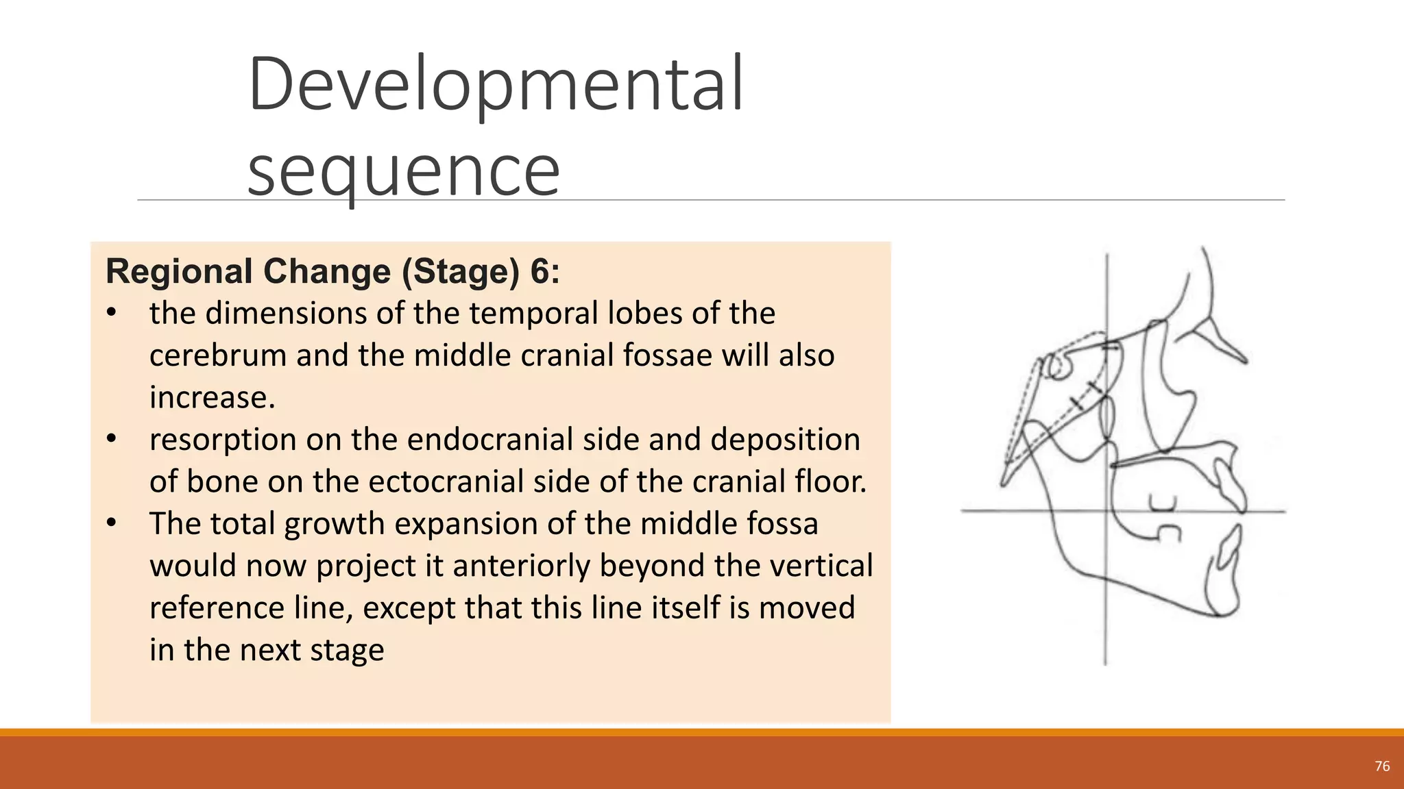 Developmental
sequence
76
Regional Change (Stage) 6:
• the dimensions of the temporal lobes of the
cerebrum and the middle cranial fossae will also
increase.
• resorption on the endocranial side and deposition
of bone on the ectocranial side of the cranial floor.
• The total growth expansion of the middle fossa
would now project it anteriorly beyond the vertical
reference line, except that this line itself is moved
in the next stage
 