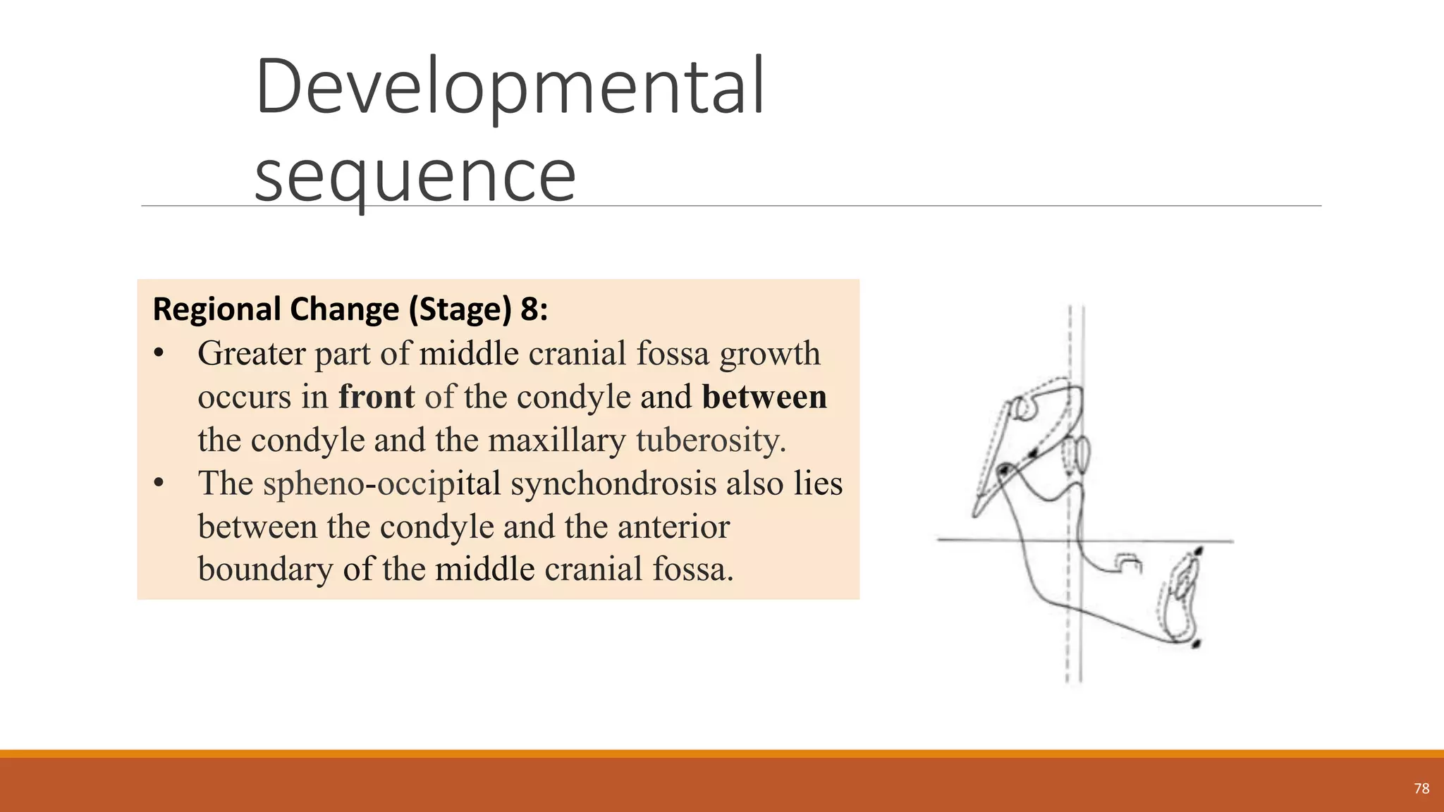 Developmental
sequence
78
Regional Change (Stage) 8:
• Greater part of middle cranial fossa growth
occurs in front of the condyle and between
the condyle and the maxillary tuberosity.
• The spheno-occipital synchondrosis also lies
between the condyle and the anterior
boundary of the middle cranial fossa.
 