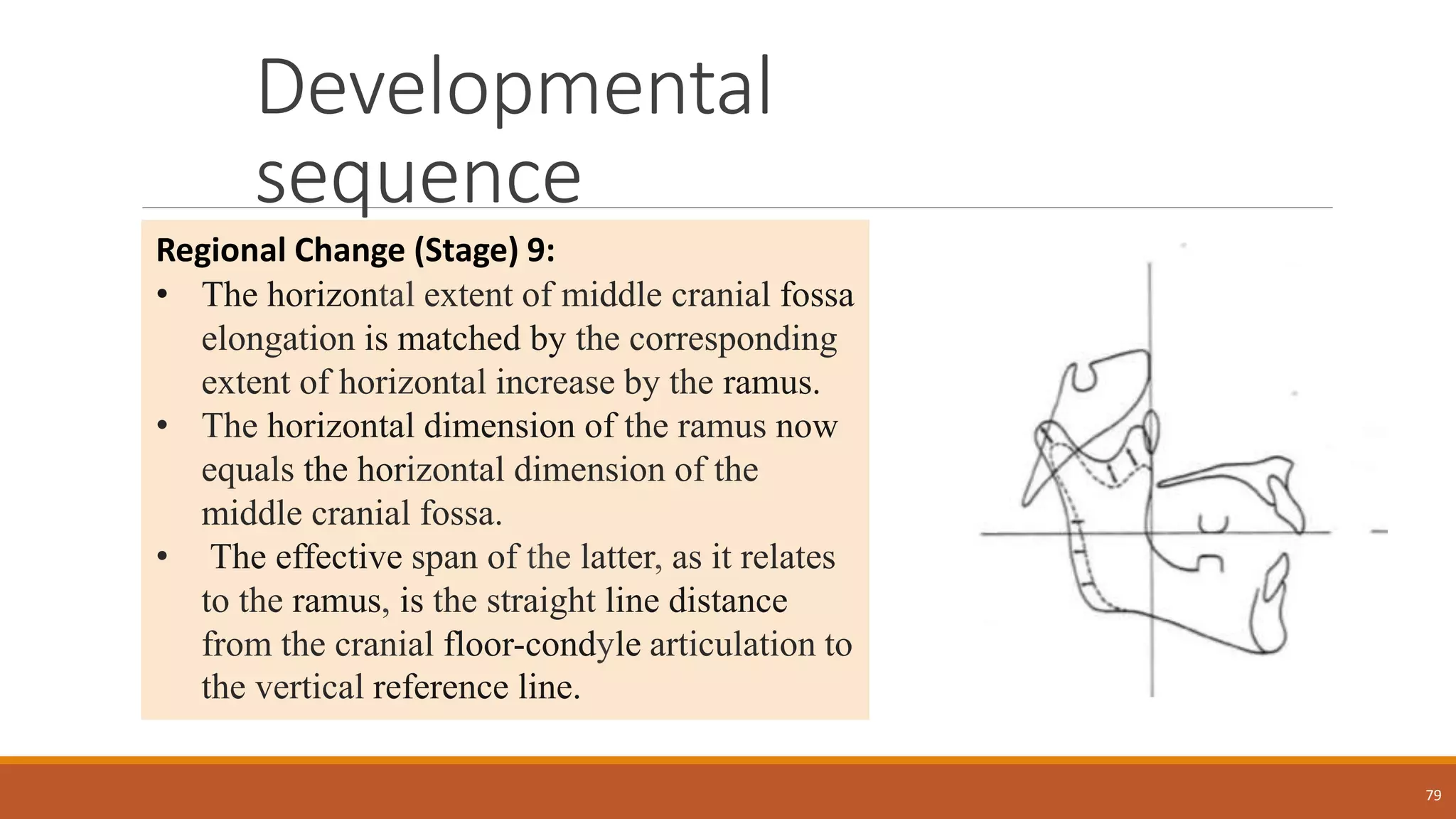 Developmental
sequence
79
Regional Change (Stage) 9:
• The horizontal extent of middle cranial fossa
elongation is matched by the corresponding
extent of horizontal increase by the ramus.
• The horizontal dimension of the ramus now
equals the horizontal dimension of the
middle cranial fossa.
• The effective span of the latter, as it relates
to the ramus, is the straight line distance
from the cranial floor-condyle articulation to
the vertical reference line.
 