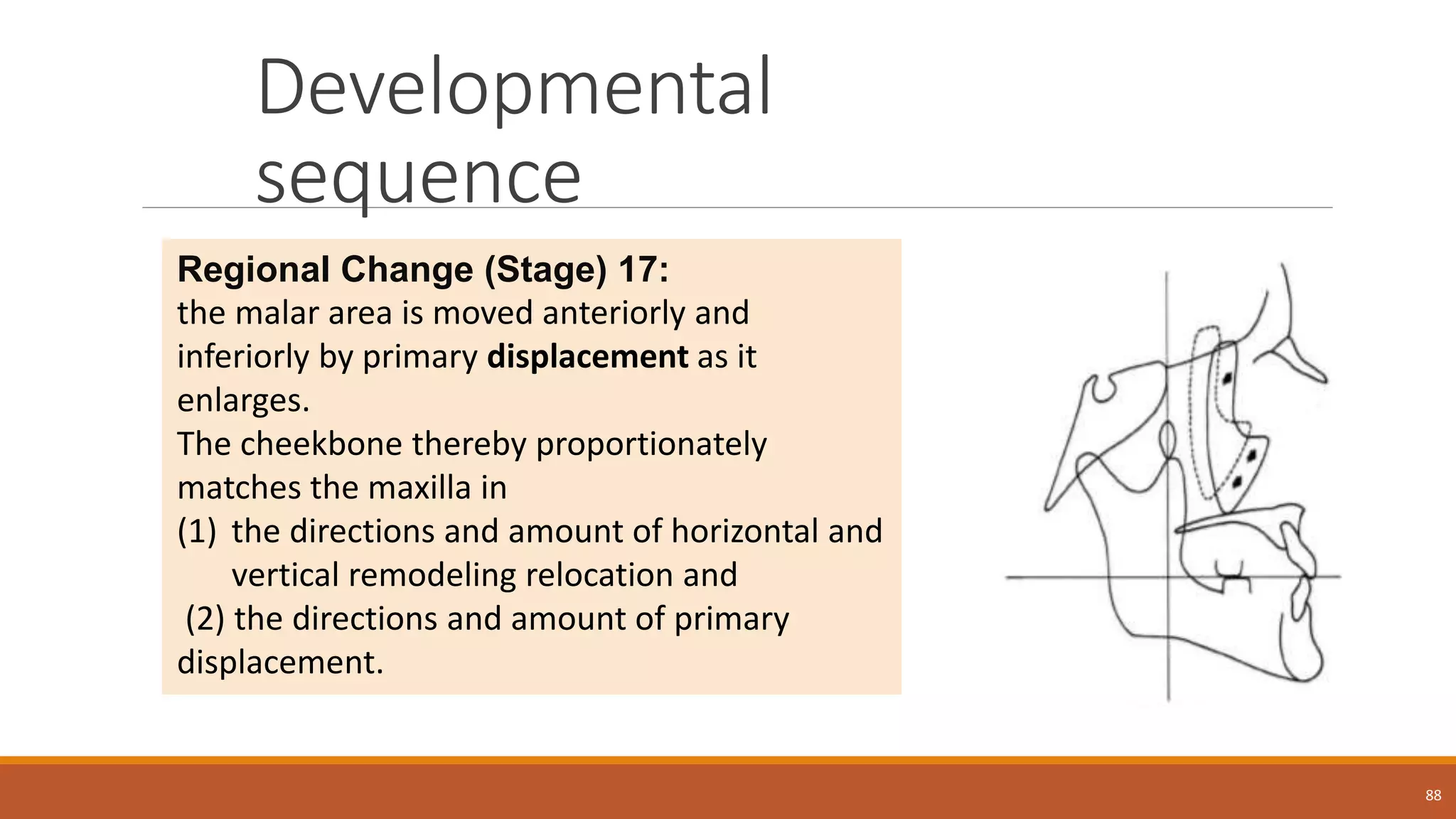 Developmental
sequence
88
Regional Change (Stage) 17:
the malar area is moved anteriorly and
inferiorly by primary displacement as it
enlarges.
The cheekbone thereby proportionately
matches the maxilla in
(1) the directions and amount of horizontal and
vertical remodeling relocation and
(2) the directions and amount of primary
displacement.
 