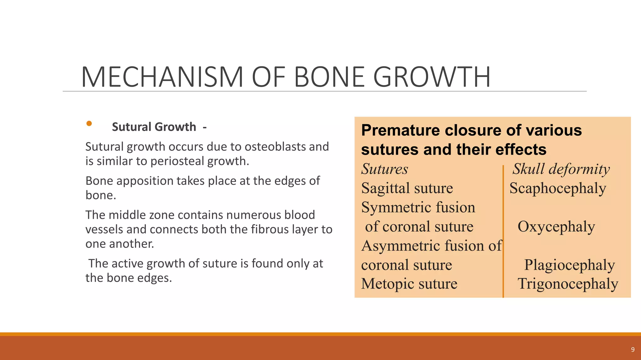 MECHANISM OF BONE GROWTH
• Sutural Growth -
Sutural growth occurs due to osteoblasts and
is similar to periosteal growth.
Bone apposition takes place at the edges of
bone.
The middle zone contains numerous blood
vessels and connects both the fibrous layer to
one another.
The active growth of suture is found only at
the bone edges.
9
Premature closure of various
sutures and their effects
Sutures Skull deformity
Sagittal suture Scaphocephaly
Symmetric fusion
of coronal suture Oxycephaly
Asymmetric fusion of
coronal suture Plagiocephaly
Metopic suture Trigonocephaly
 