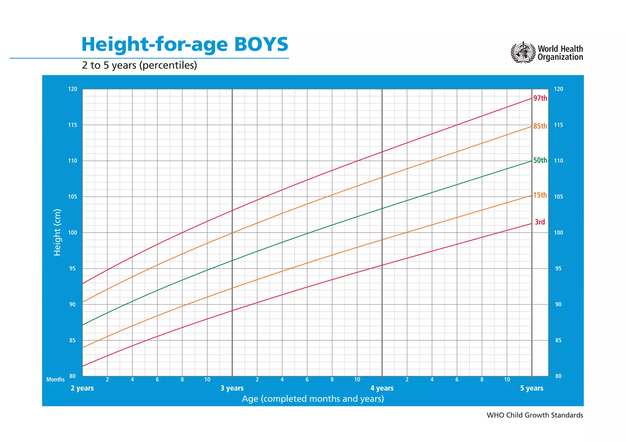 WHO Child Growth Standards
Height-for-age BOYS
2 to 5 years (percentiles)
Age (completed months and years)
Height
(cm)
5 years
4 years
3 years
2 years
80
85
90
95
100
105
110
115
120
80
85
90
95
100
105
110
115
120
2 4 6 8 10 2 4 6 8 10 2 4 6 8 10
Months
15th
3rd
97th
50th
85th
 
