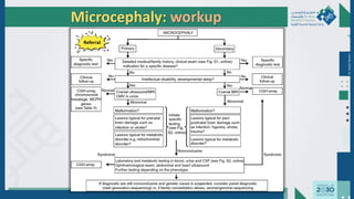 Dr.
Majdi
AlJasim
Microcephaly: workup
Referral
 