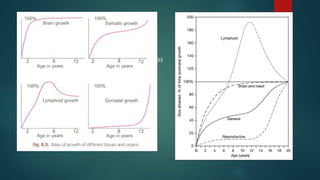  Different tissues grow at different rates
 