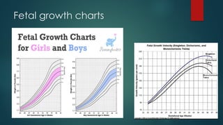 Fetal growth charts
 