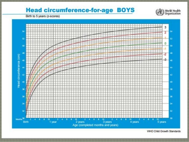 Head Circumference Centile Chart