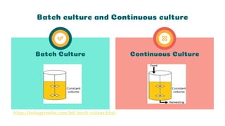 Continuous Culture
Batch Culture
Batch culture and Continuous culture
https://biologyreader.com/fed-batch-culture.html
 
