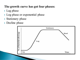 The growth curve has got four phases:
 Lag phase
 Log phase or exponential phase
 Stationary phase
 Decline phase
 