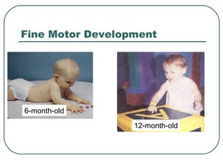 Fine Motor Development

6-month-old
12-month-old

 