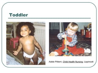 Toddler

Adele Piliterri, Child Health Nursing, Lippincott

 