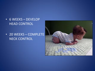 Growth & development | PPTX