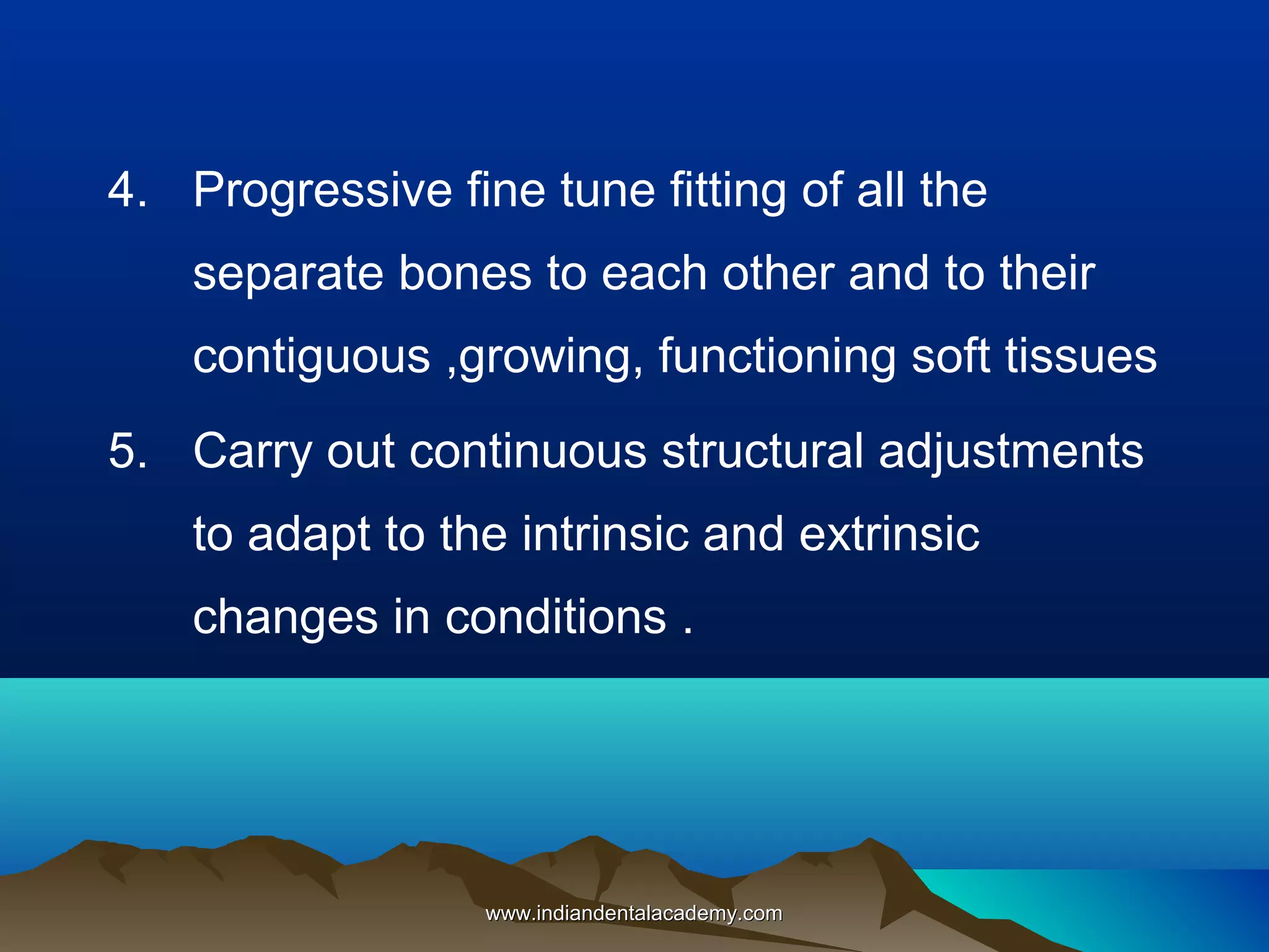 4. Progressive fine tune fitting of all the
separate bones to each other and to their
contiguous ,growing, functioning soft tissues
5. Carry out continuous structural adjustments
to adapt to the intrinsic and extrinsic
changes in conditions .
www.indiandentalacademy.comwww.indiandentalacademy.com
 