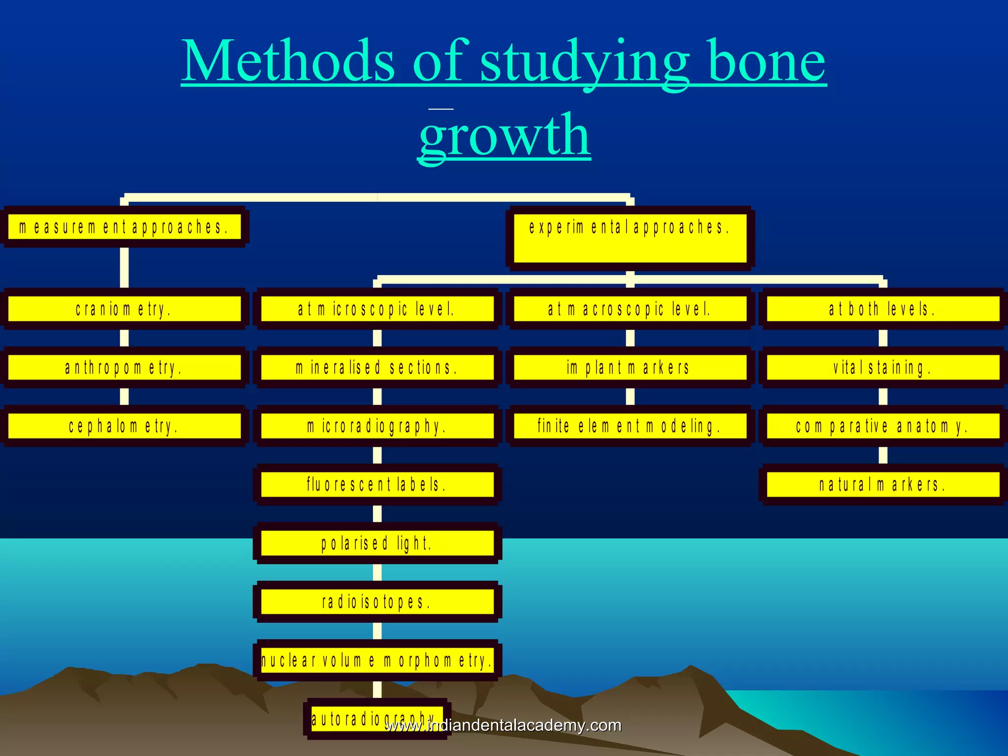 Methods of studying bone
growth
c e p h a lo m e tr y .
a n th r o p o m e tr y .
c r a n io m e tr y .
m e a s u r e m e n t a p p r o a c h e s .
a u to r a d io g r a p h y .
n u c le a r v o lu m e m o r p h o m e tr y .
r a d io is o to p e s .
p o la r is e d lig h t.
flu o r e s c e n t la b e ls .
m ic r o r a d io g r a p h y .
m in e r a lis e d s e c tio n s .
a t m ic r o s c o p ic le v e l.
fin ite e le m e n t m o d e lin g .
im p la n t m a r k e r s
a t m a c r o s c o p ic le v e l.
n a tu r a l m a r k e r s .
c o m p a r a tiv e a n a to m y .
v ita l s ta in in g .
a t b o th le v e ls .
e x p e r im e n ta l a p p r o a c h e s .
www.indiandentalacademy.comwww.indiandentalacademy.com
 