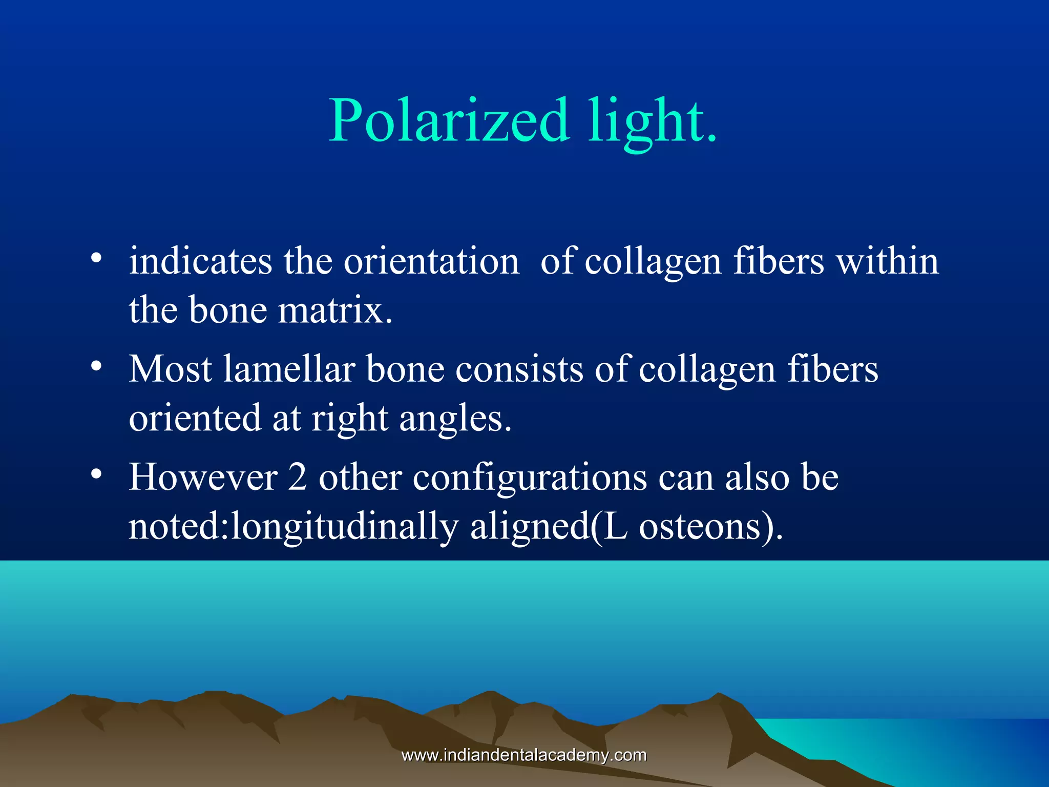 Polarized light.
• indicates the orientation of collagen fibers within
the bone matrix.
• Most lamellar bone consists of collagen fibers
oriented at right angles.
• However 2 other configurations can also be
noted:longitudinally aligned(L osteons).
www.indiandentalacademy.comwww.indiandentalacademy.com
 