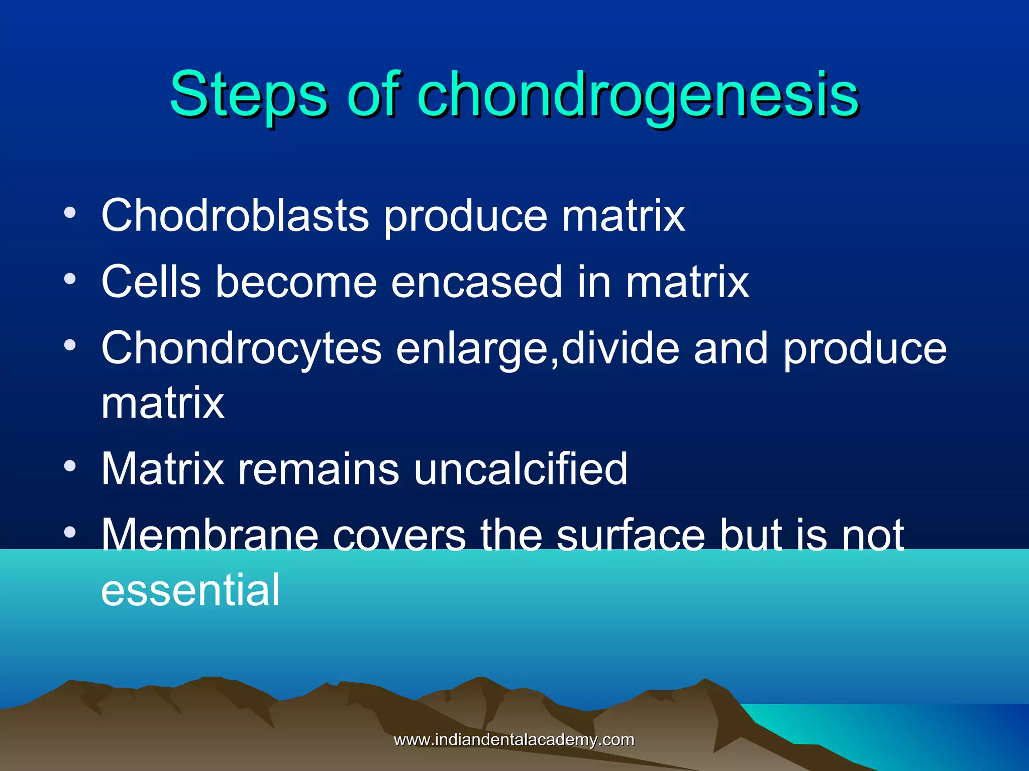 Steps of chondrogenesisSteps of chondrogenesis
• Chodroblasts produce matrix
• Cells become encased in matrix
• Chondrocytes enlarge,divide and produce
matrix
• Matrix remains uncalcified
• Membrane covers the surface but is not
essential
www.indiandentalacademy.comwww.indiandentalacademy.com
 