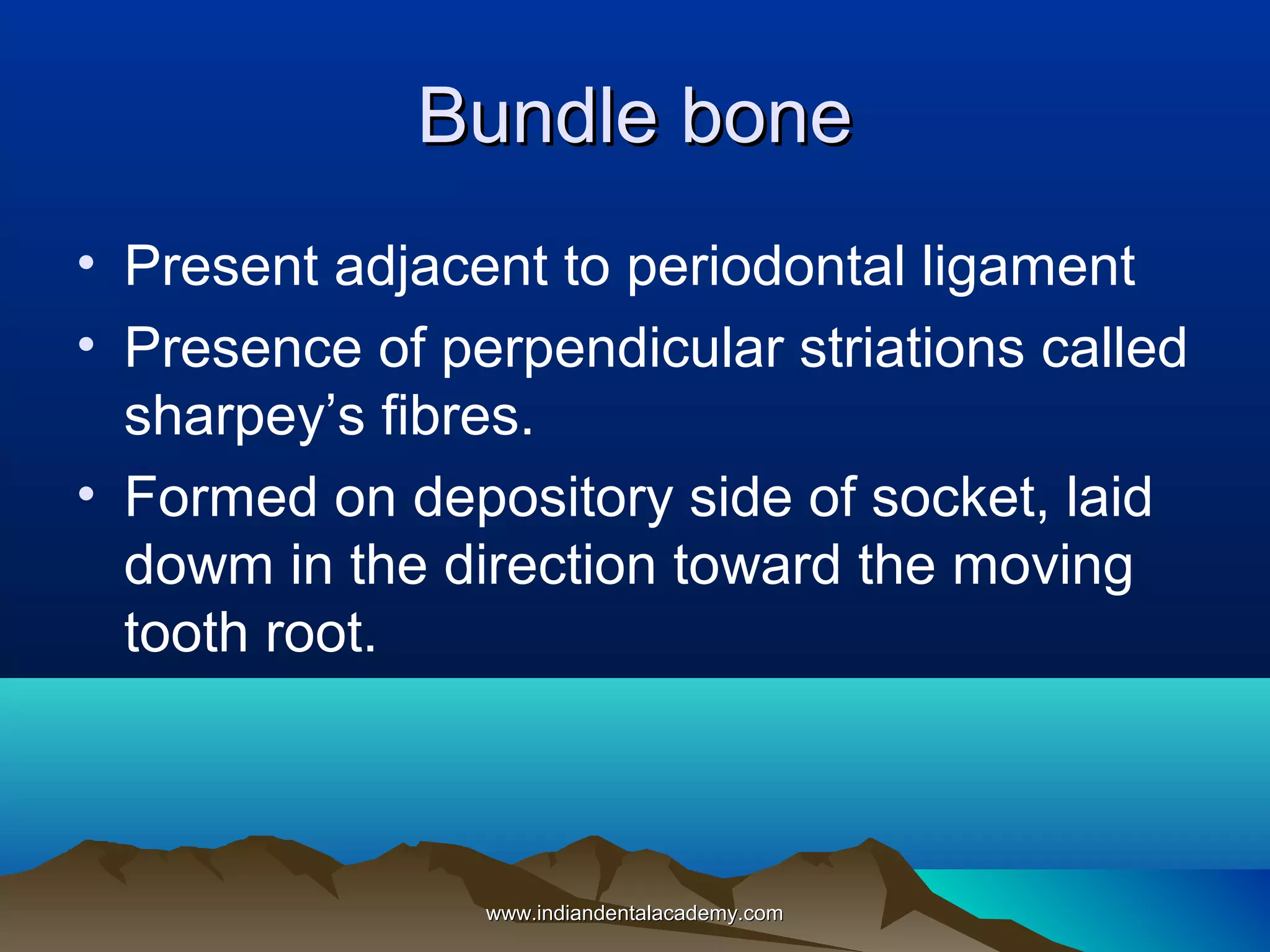 Bundle boneBundle bone
• Present adjacent to periodontal ligament
• Presence of perpendicular striations called
sharpey’s fibres.
• Formed on depository side of socket, laid
dowm in the direction toward the moving
tooth root.
www.indiandentalacademy.comwww.indiandentalacademy.com
 