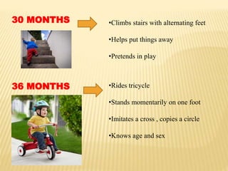 30 MONTHS •Climbs stairs with alternating feet
•Helps put things away
•Pretends in play
36 MONTHS •Rides tricycle
•Stands momentarily on one foot
•Imitates a cross , copies a circle
•Knows age and sex
 