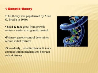 Genetic theory
•This theory was popularized by Allan
G. Brodie in 1940s
• head & face grew from growth
centres - under strict genetic control
•Primary, genetic control determines
certain initial features
•Secondarily , local feedbacks & inner
communication mechanisms between
cells & tissues.
 