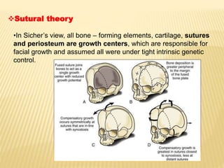 Sutural theory
•In Sicher’s view, all bone – forming elements, cartilage, sutures
and periosteum are growth centers, which are responsible for
facial growth and assumed all were under tight intrinsic genetic
control.
 