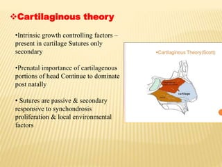 Cartilaginous theory
•Intrinsic growth controlling factors –
present in cartilage Sutures only
secondary
•Prenatal importance of cartilagenous
portions of head Continue to dominate
post natally
• Sutures are passive & secondary
responsive to synchondrosis
proliferation & local environmental
factors
 
