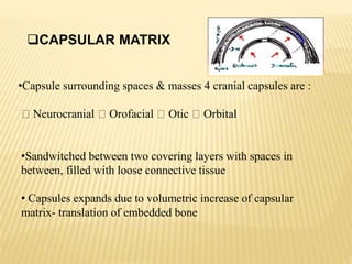•Capsule surrounding spaces & masses 4 cranial capsules are :
Neurocranial Orofacial Otic Orbital
•Sandwitched between two covering layers with spaces in
between, filled with loose connective tissue
• Capsules expands due to volumetric increase of capsular
matrix- translation of embedded bone
CAPSULAR MATRIX
 