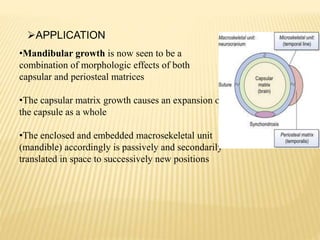 APPLICATION
•Mandibular growth is now seen to be a
combination of morphologic effects of both
capsular and periosteal matrices
•The capsular matrix growth causes an expansion of
the capsule as a whole
•The enclosed and embedded macrosekeletal unit
(mandible) accordingly is passively and secondarily
translated in space to successively new positions
 