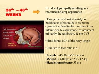 36th – 40th
WEEKS
•Fat develops rapidly resulting in a
red,smooth,plump appearance
•This period is devoted mainly to
building up of tissues& to preparing
systems involved in the transition from
intrauterine to extrauterine environment
primarily the respiratory & the CVS
•Hand forms 1/3rd of the body length
•Cranium to face ratio is 8:1
•Length is 45-50cm(30 inches)
•Weight is 3200gm or 2.5 - 4.5 kg
•Head circumference 35 cm
 