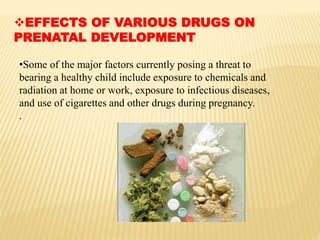 EFFECTS OF VARIOUS DRUGS ON
PRENATAL DEVELOPMENT
•Some of the major factors currently posing a threat to
bearing a healthy child include exposure to chemicals and
radiation at home or work, exposure to infectious diseases,
and use of cigarettes and other drugs during pregnancy.
.
 